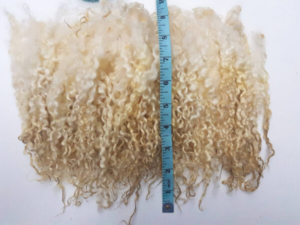 Wensleydale locks / 25g award winning / washed locks / hand washed locks / doll hair / spinning / felting / curly locks / fibre ringlets