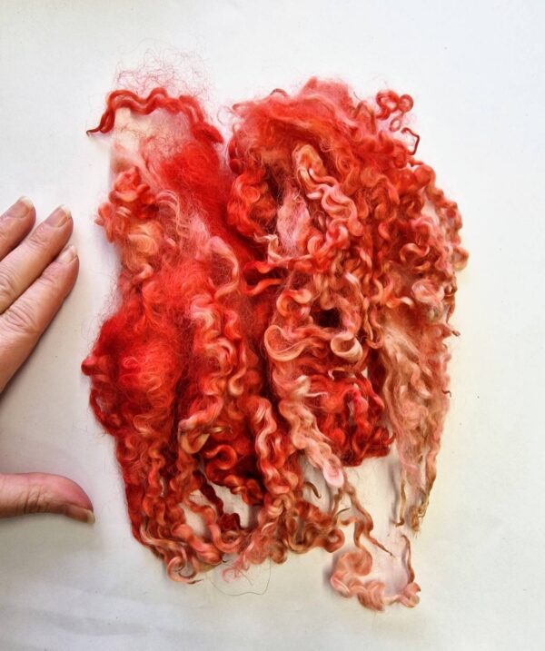 Hell Hath No Fury Locks / Hand Dyed Locks 50g / Wet Felting / Hand Dyed Locks / Red Locks / Doll Hair / Felted Collar / Dyed Curls