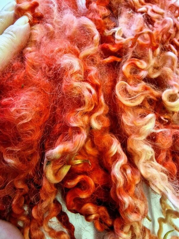 Hell Hath No Fury Locks / Hand Dyed Locks 50g / Wet Felting / Hand Dyed Locks / Red Locks / Doll Hair / Felted Collar / Dyed Curls