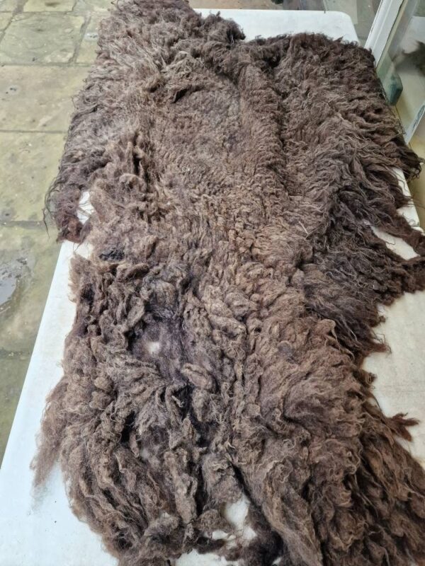 Whole Part Felted Hebridean Sheep Fleece / Whole Fleece / Cruelty Free Rug / Vegan Sheepskin DIY / Felting / Hippie 900g / Wolf