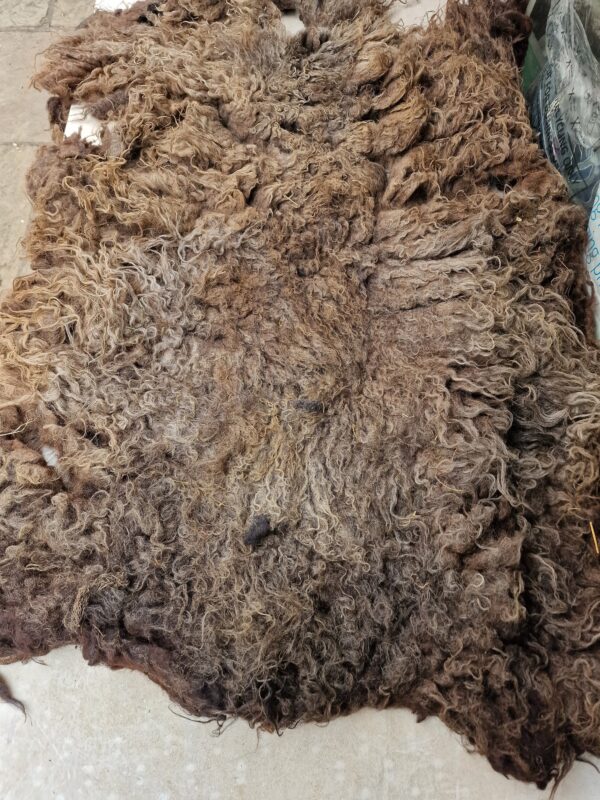 Whole Part Felted Hebridean Sheep Fleece / Whole Fleece / Cruelty Free Rug / Vegan Sheepskin DIY / Felting / Hippie 900g / Vicky