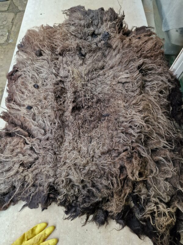 Whole Part Felted Hebridean Sheep Fleece / Whole Fleece / Cruelty Free Rug / Vegan Sheepskin DIY / Felting / 1000g / Gerald