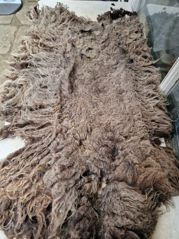 Whole Part Felted Hebridean Sheep Fleece / Whole Fleece / Cruelty Free Rug / Vegan Sheepskin DIY / Felting / 1000g / Ripley