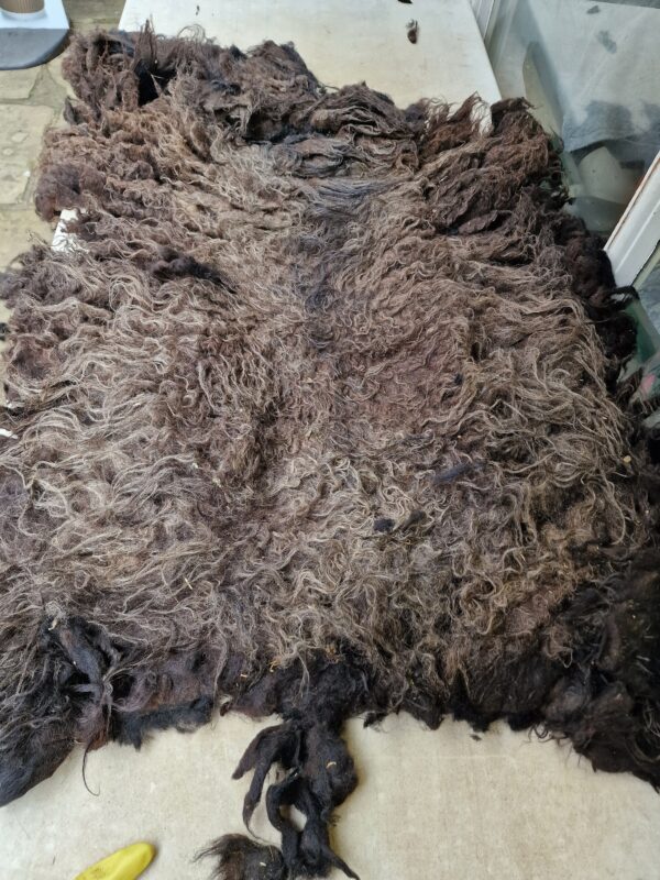 Whole Part Felted Hebridean Sheep Fleece / Whole Fleece / Cruelty Free Rug / Vegan Sheepskin DIY / Felting / 1000g / Beatrix