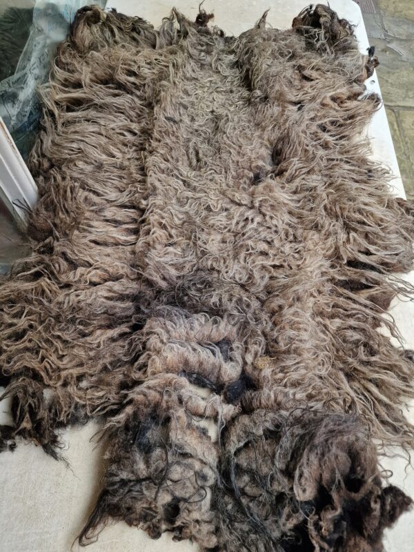 Whole Part Felted Hebridean Sheep Fleece / Whole Fleece / Cruelty Free Rug / Vegan Sheepskin DIY / Felting / 1000g / Ellen