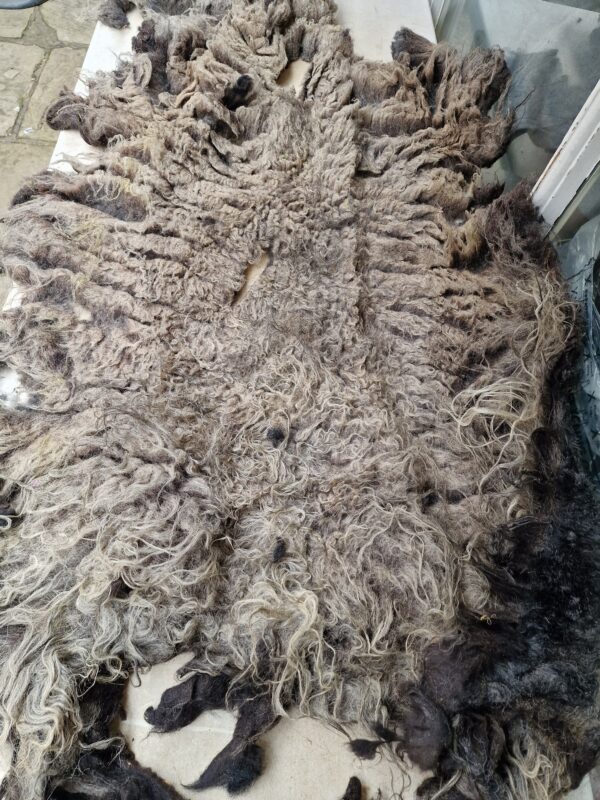 Whole Part Felted Hebridean Sheep Fleece / Whole Fleece / Cruelty Free Rug / Vegan Sheepskin DIY / Felting / 1000g / Nella