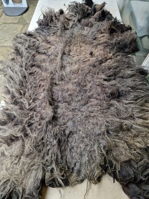 Whole Part Felted Hebridean Sheep Fleece / Whole Fleece / Cruelty Free Rug / Vegan Sheepskin DIY / Felting / 1000g / Sally