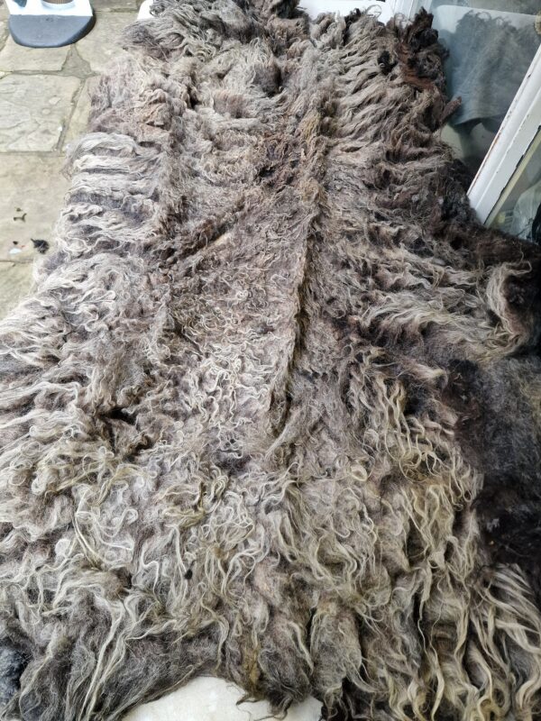 Whole Part Felted Hebridean Sheep Fleece / Whole Fleece / Cruelty Free Rug / Vegan Sheepskin DIY / Felting / 1000g / Peter