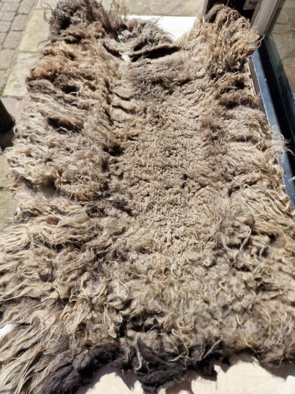 Whole Part Felted Hebridean Sheep Fleece / Whole Fleece / Cruelty Free Rug / Vegan Sheepskin DIY / Felting / 1000g / Nora