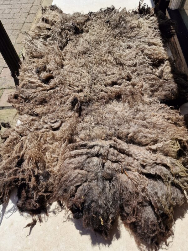 Whole Part Felted Hebridean Sheep Fleece / Whole Fleece / Cruelty Free Rug / Vegan Sheepskin DIY / Felting / 1000g / McGee