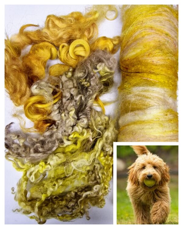 Goldendoodle Dog / Retriever Needle Felting Fibre Pack Only / Animal Fibre / 70g / Glass Eyes / Spinning Fibre / Wet Felting /Needle Felting